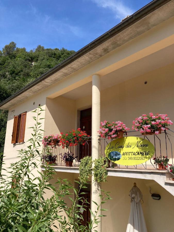 Hotel La Casa Dei Nonni Torre Orsina Exteriér fotografie